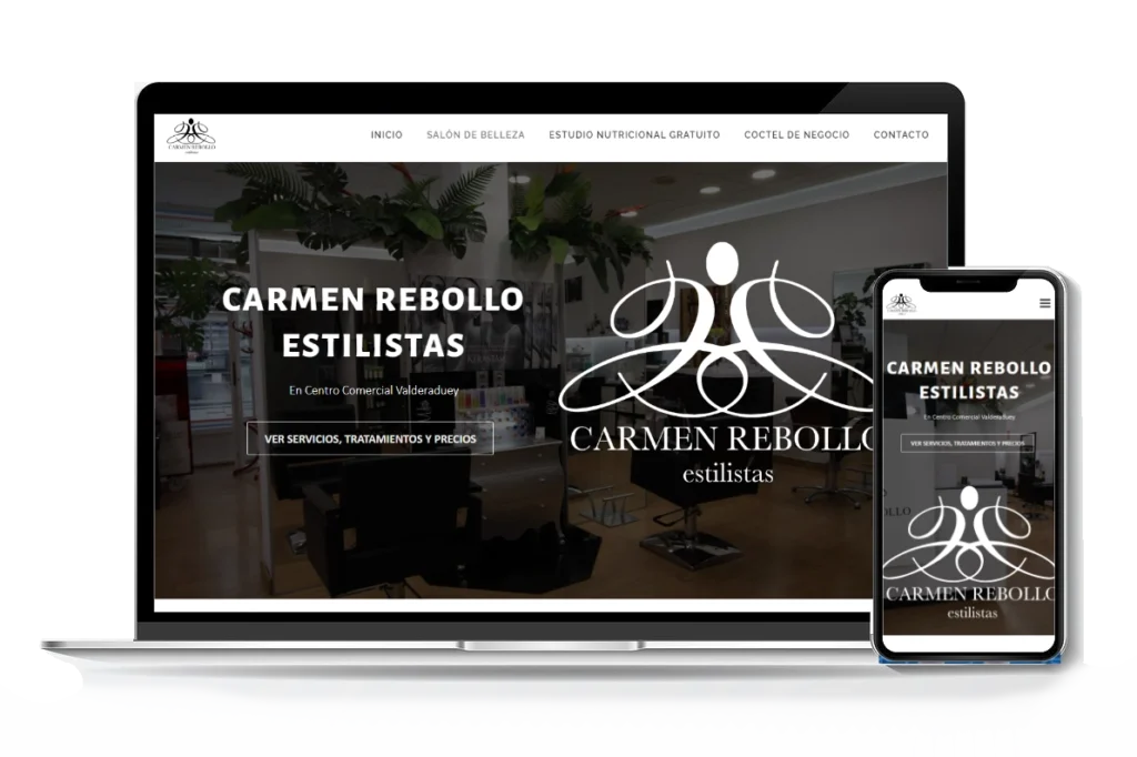 Mockup Carmen Rebollo